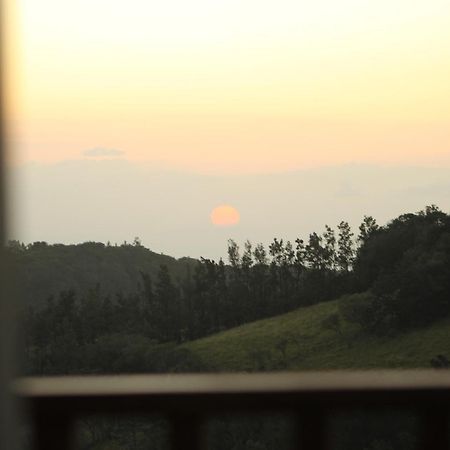 Hotel Bosque Verde Lodge モンテベルデ 部屋 写真