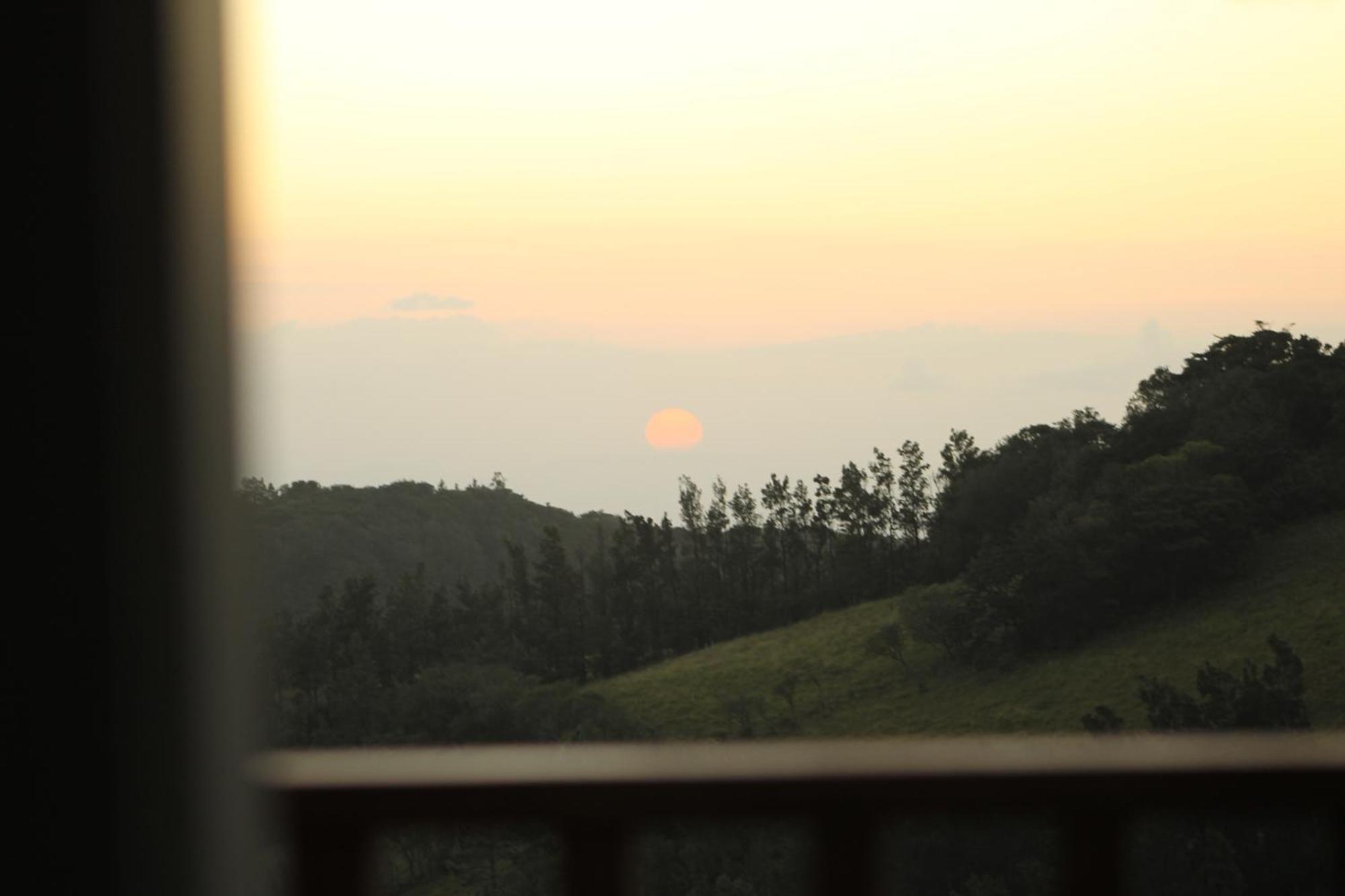 Hotel Bosque Verde Lodge モンテベルデ 部屋 写真
