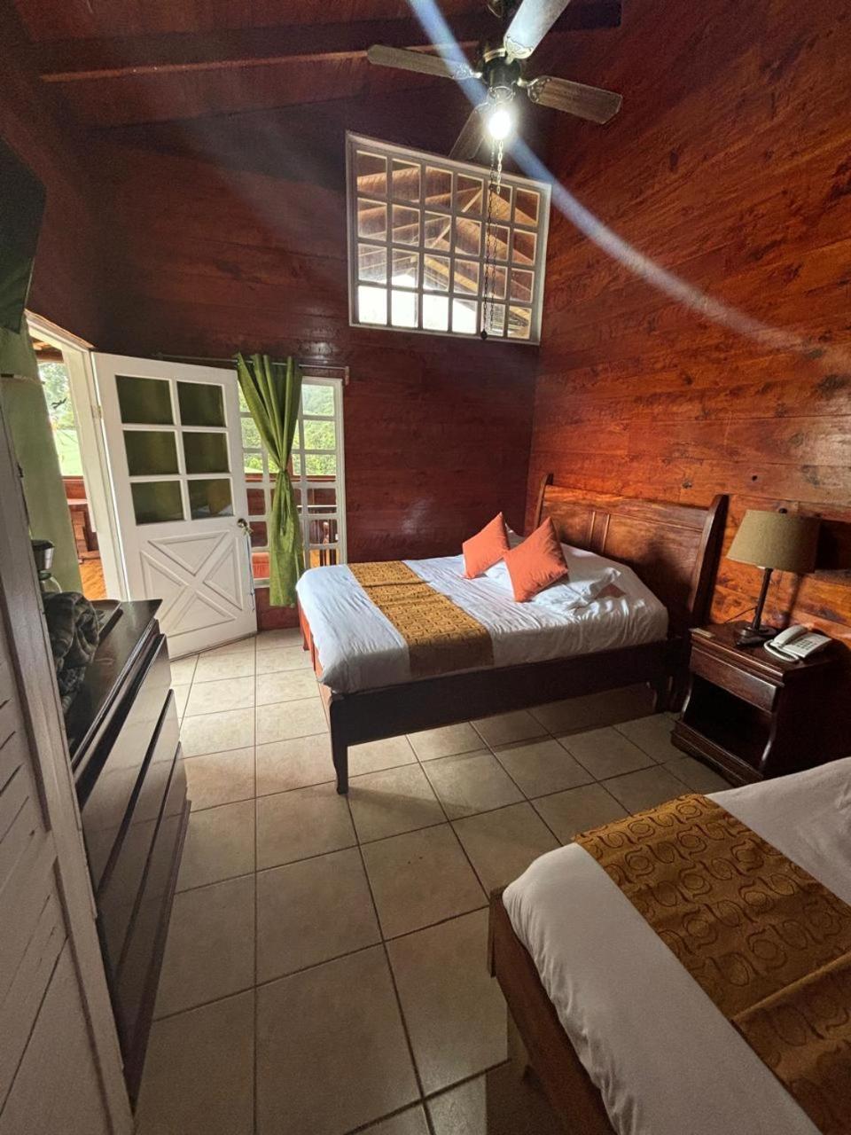 Hotel Bosque Verde Lodge モンテベルデ エクステリア 写真