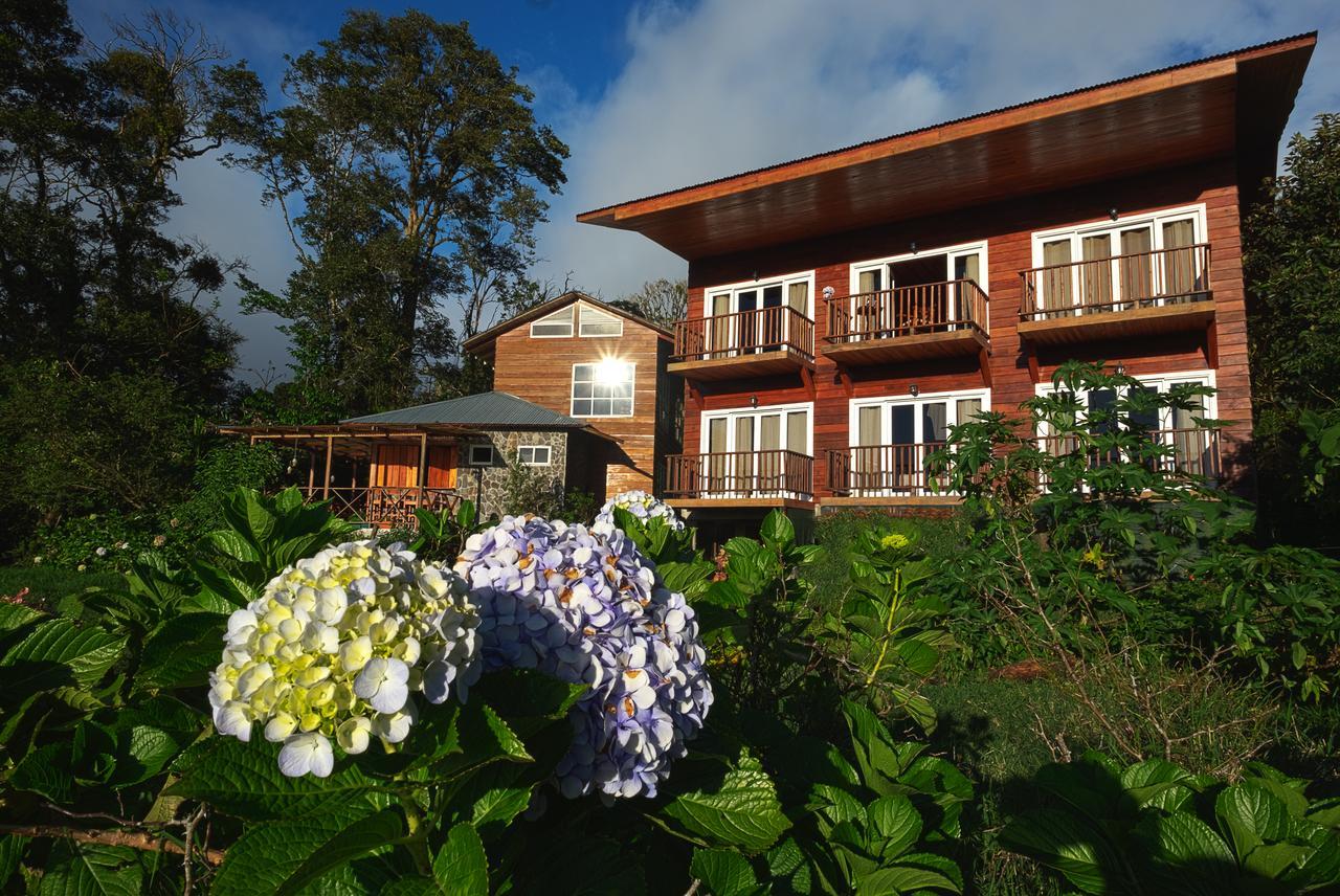 Hotel Bosque Verde Lodge モンテベルデ 部屋 写真