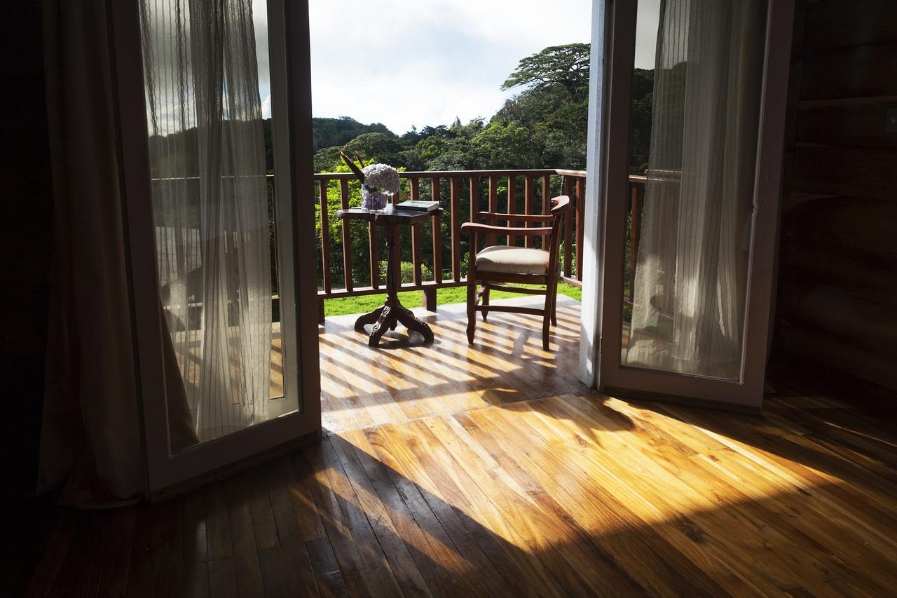 Hotel Bosque Verde Lodge モンテベルデ エクステリア 写真