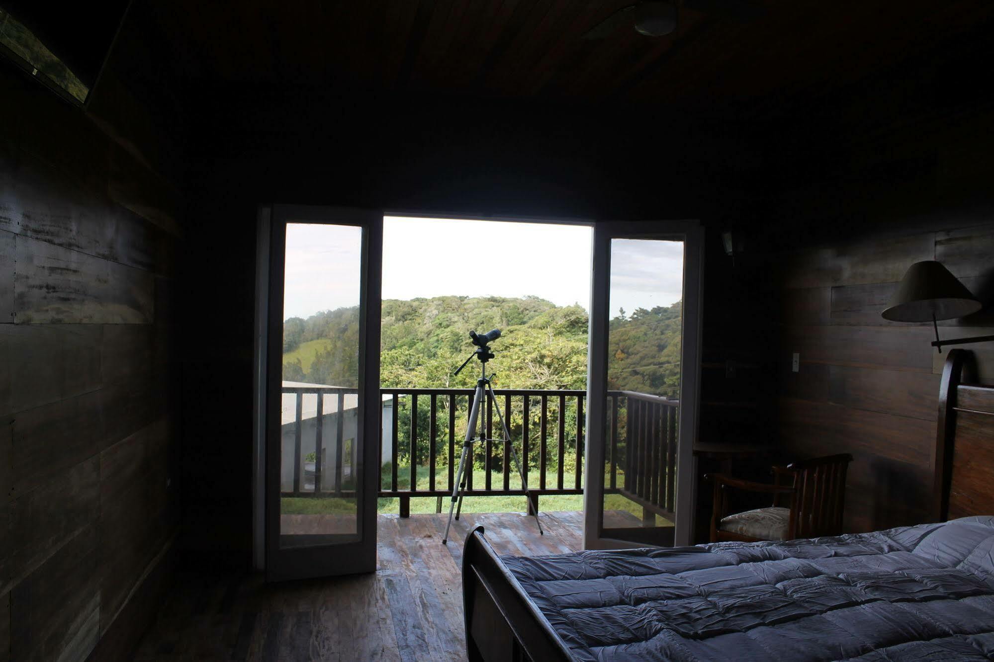 Hotel Bosque Verde Lodge モンテベルデ エクステリア 写真