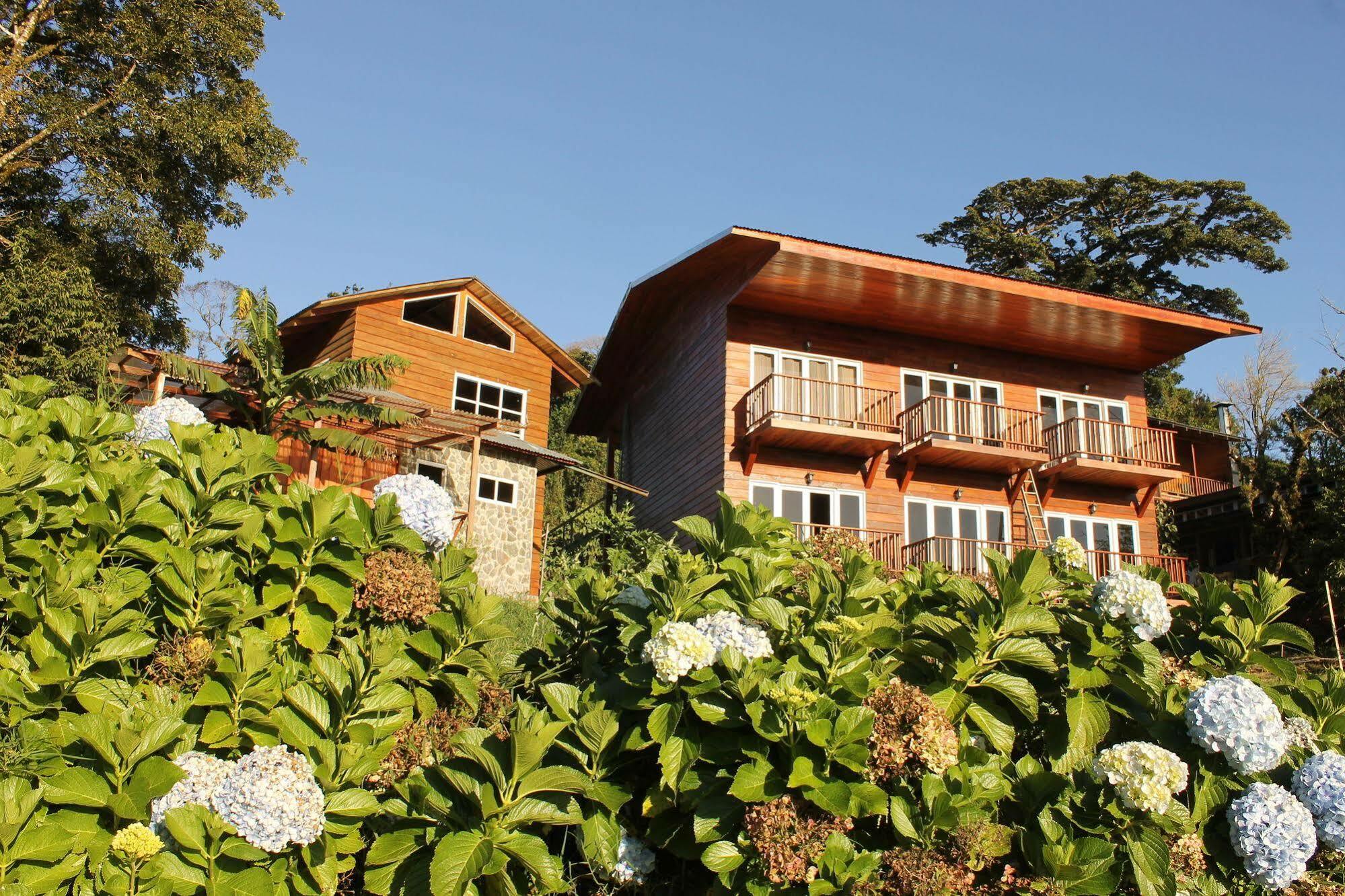 Hotel Bosque Verde Lodge モンテベルデ エクステリア 写真