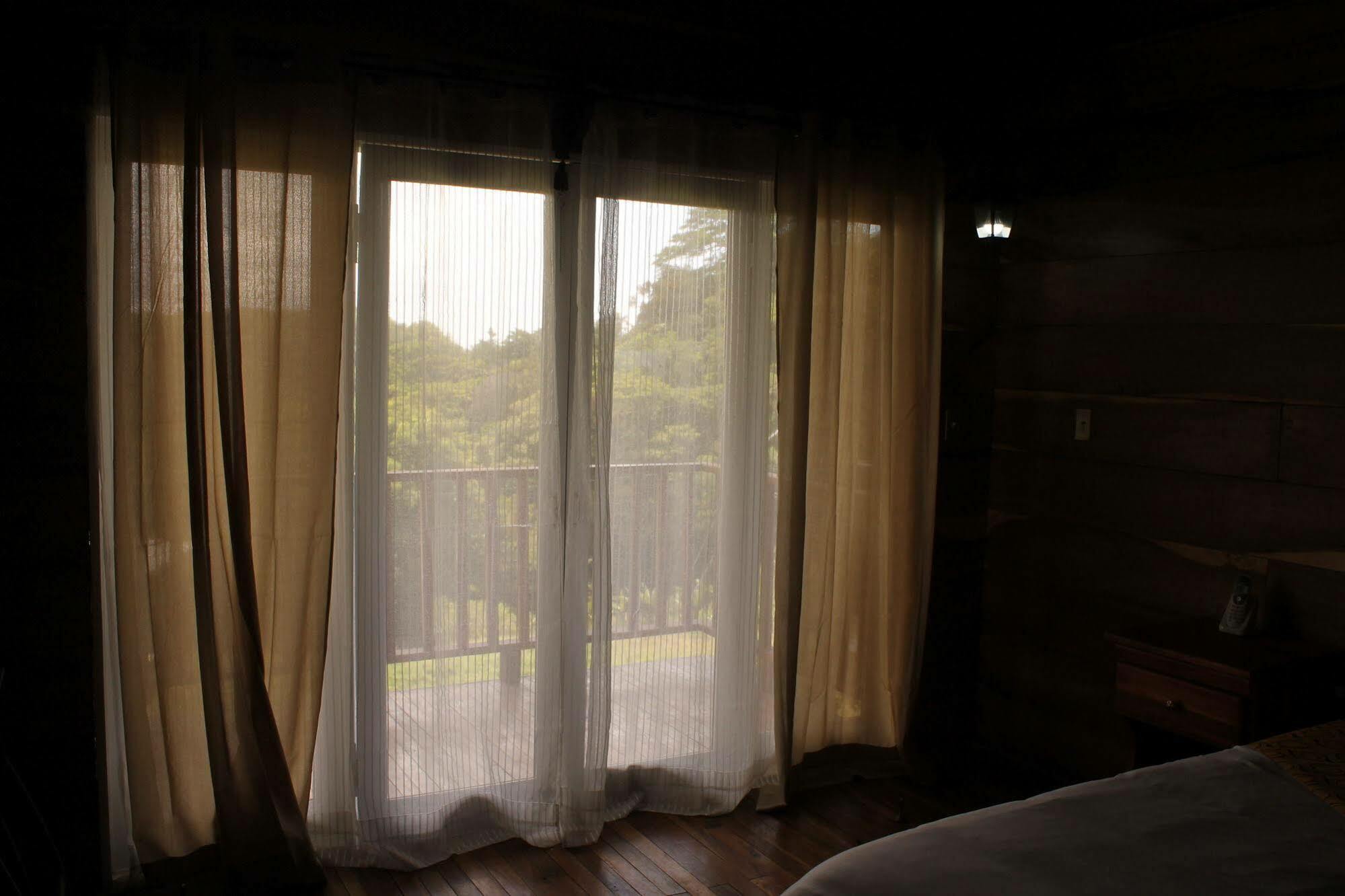 Hotel Bosque Verde Lodge モンテベルデ エクステリア 写真
